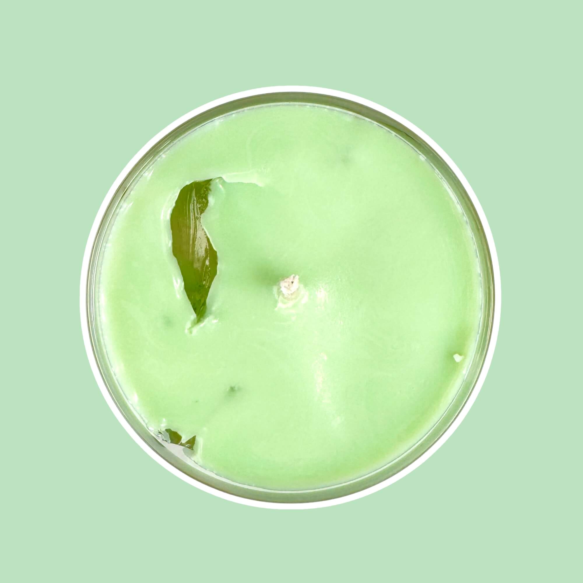 🍵 Matcha Mood 💚